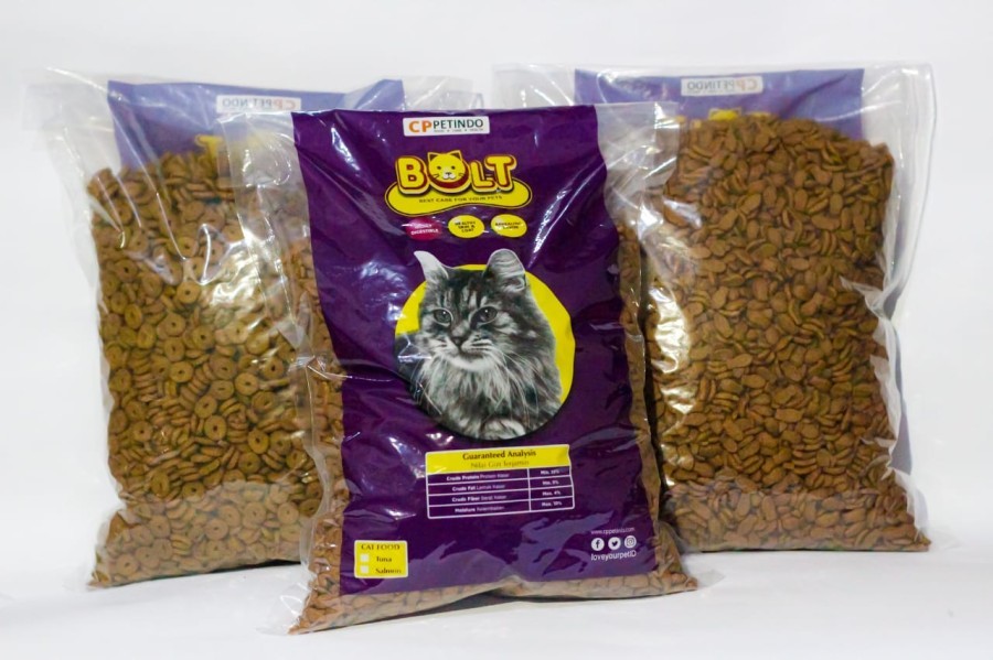 dry food untuk kitten